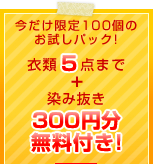 ����������100�̂������p�b�N�I�ߗ�5�_�܂�+���ݔ���300�~���t��