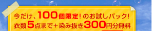����������100�̂������p�b�N�I�ߗ�5�_�܂�+���ݔ���300�~���t��