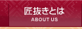 染み抜き匠抜きとは