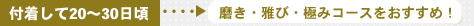�t�����āA20�`30�����̐��݂ɂ́A�����E��сE�ɂ݃R�[�X