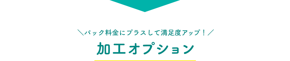 加工オプション パック料金にプラスして満足度アップ！