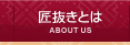 染み抜き匠抜きとは