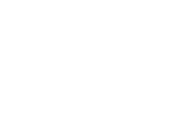 確かな技術と手仕上げで、確実に染みを落とします。