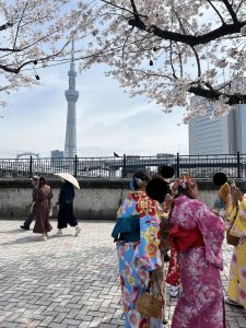 スカイツリー　桜