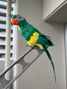 オウムくん　鳩よけ